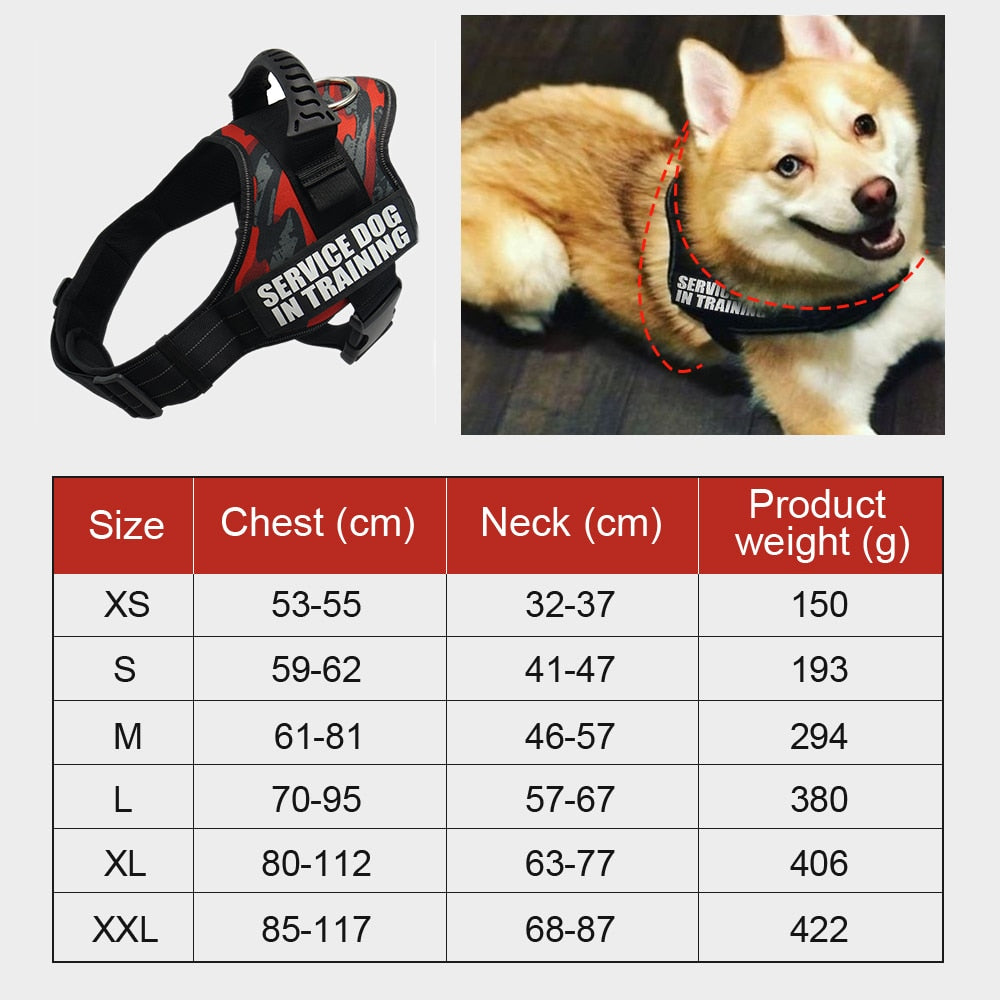 Reflective Dog Harness and Leash