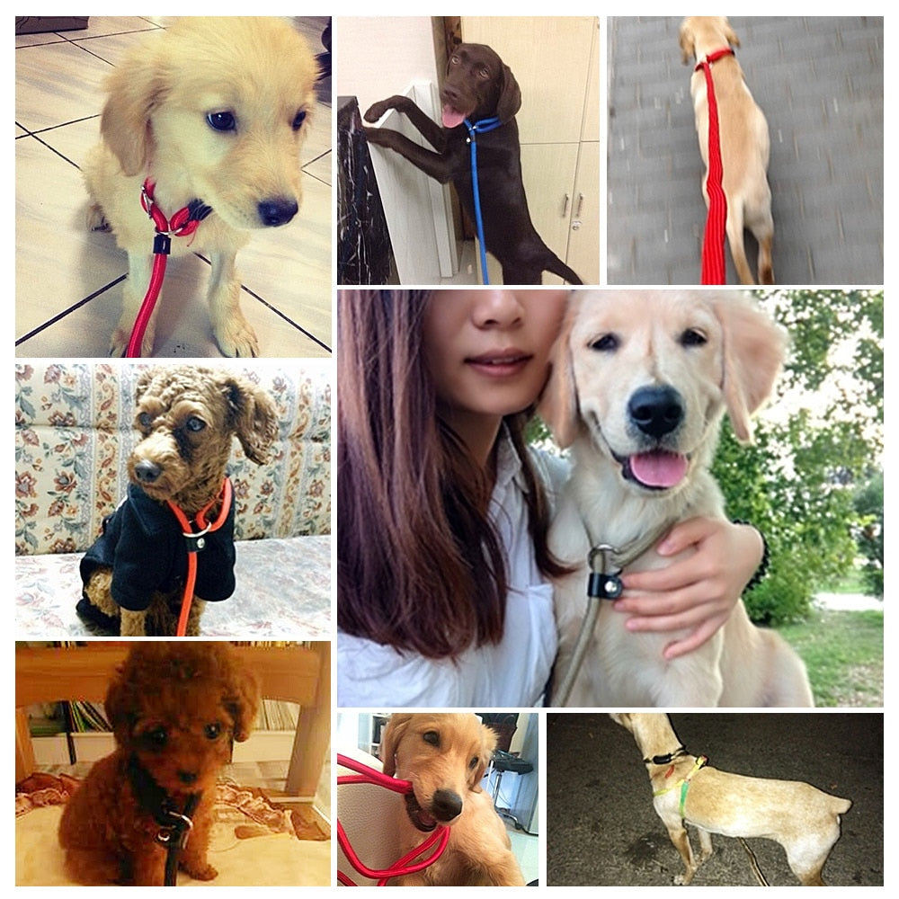 HOOPET Dog Traction Rope Leash