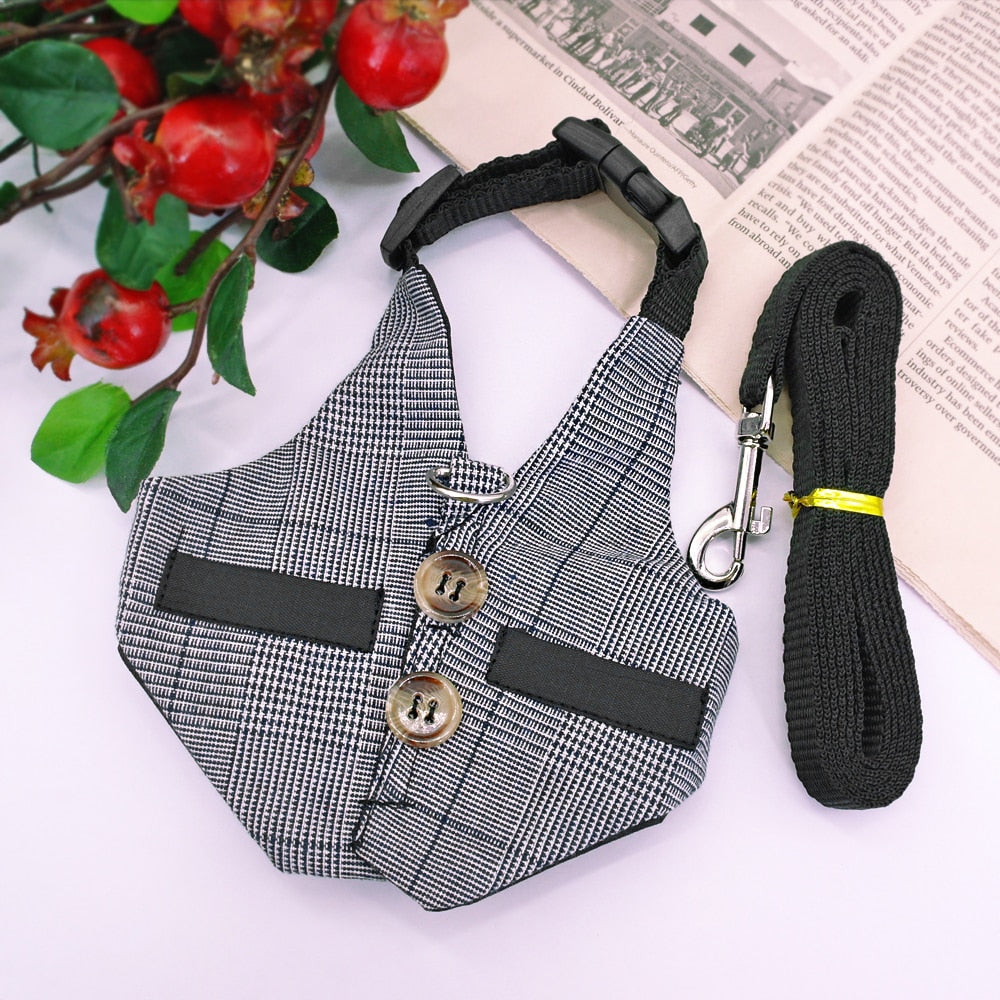 Small Animal Harness and Leash