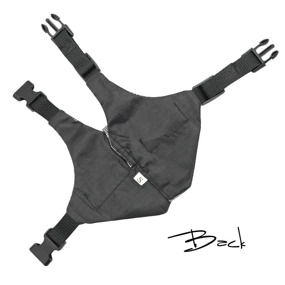 Small Animal Harness and Leash