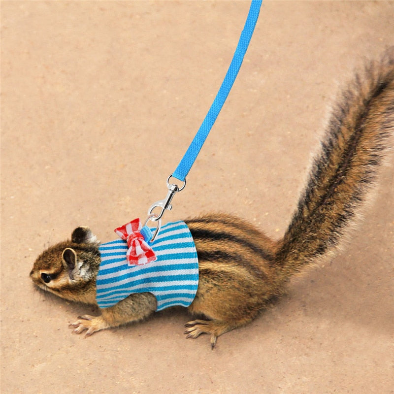 Small Animal Harness and Leash Set