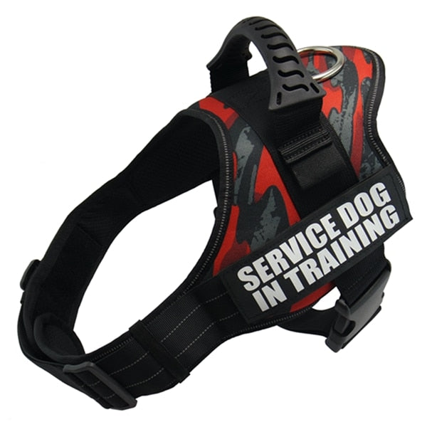 Reflective Dog Harness and Leash