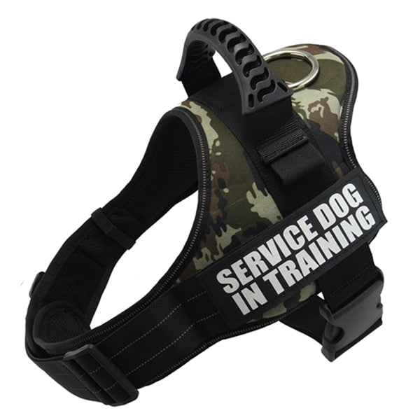 Reflective Dog Harness and Leash