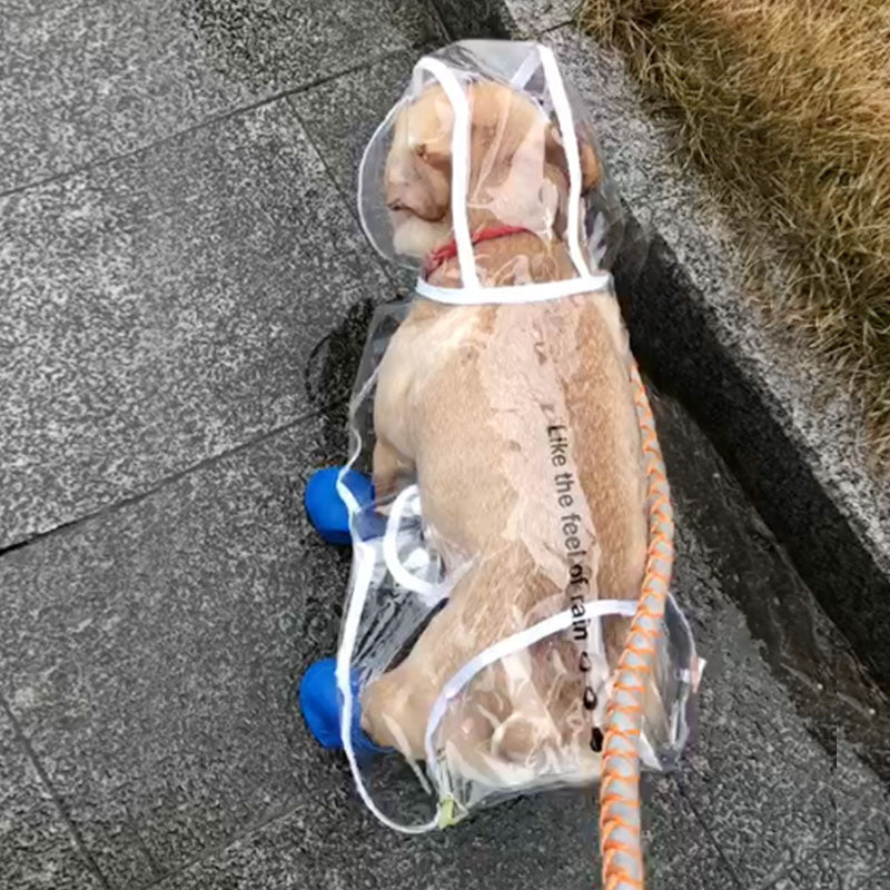 HOOPET Pet Raincoat With Hood