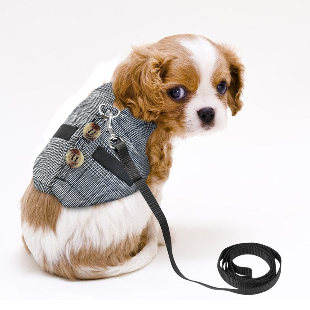 Small Animal Harness and Leash