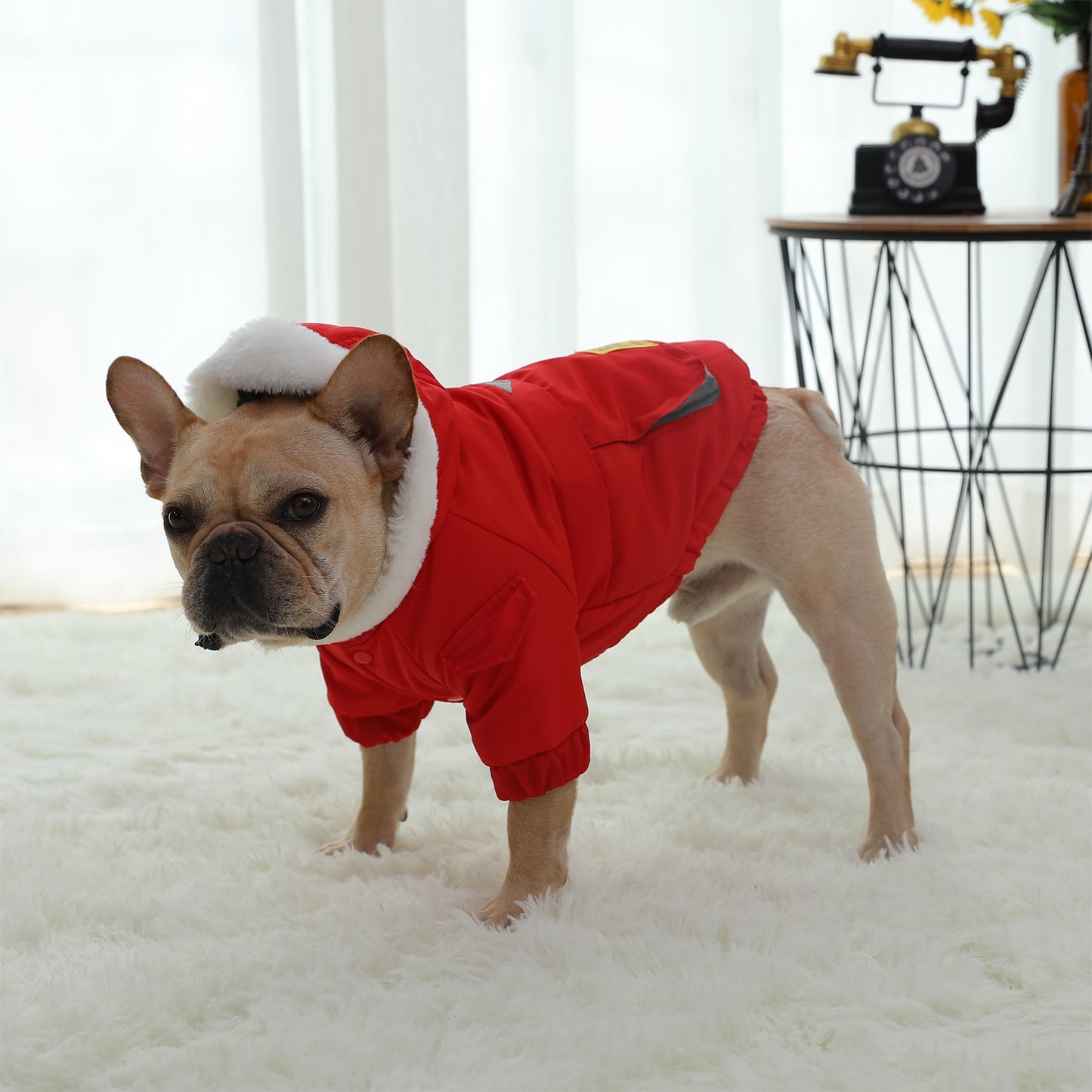 Warm Winter Hoodie For Dogs