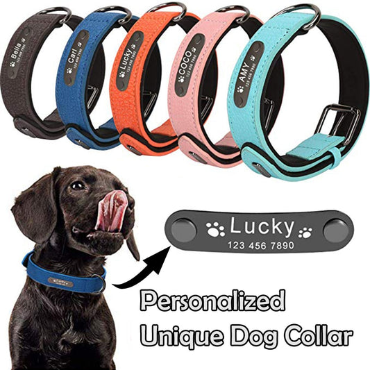 Personalized Leather Dog Collar and Leash