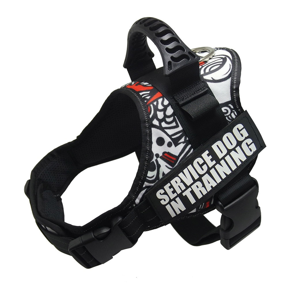 Reflective Dog Harness and Leash