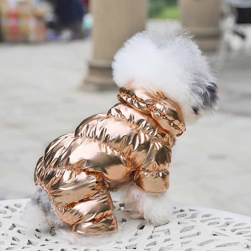 Warm Winter Snowsuit