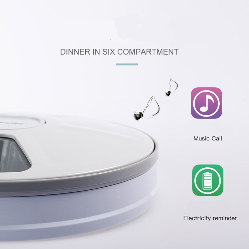 Automatic Pet Feeder