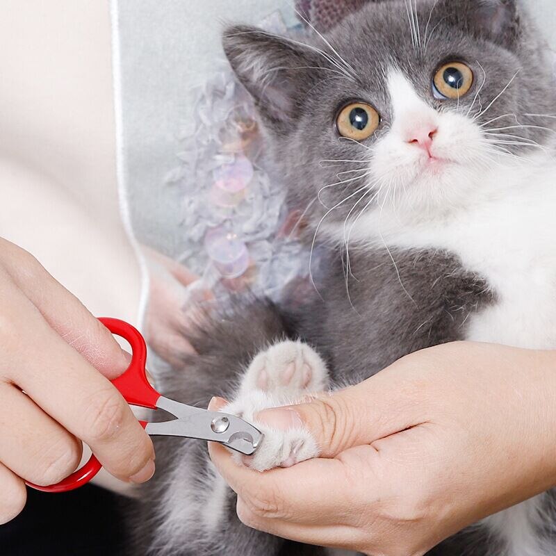 1PC Nail Grooming Scissors