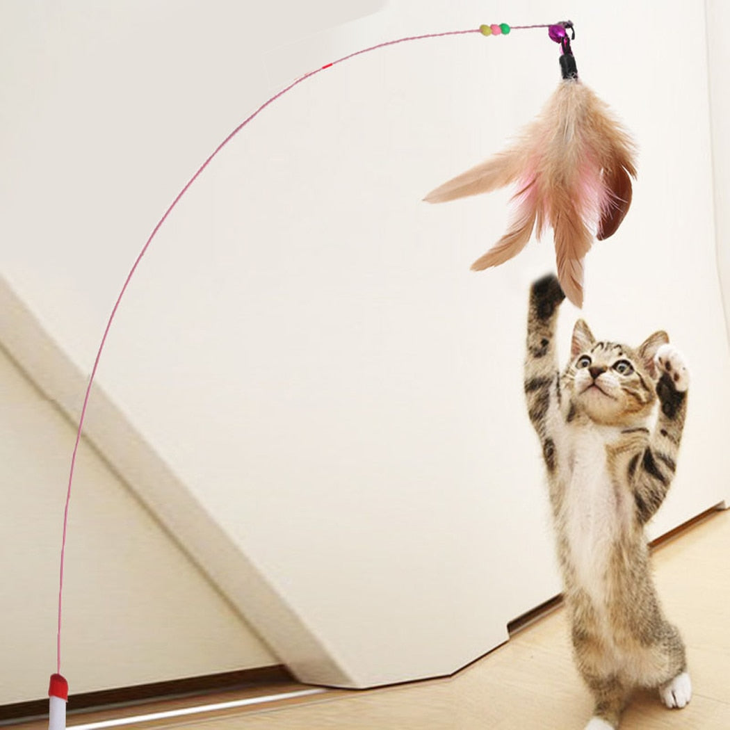 Feather Wand Toy