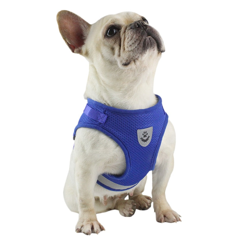 Adjustable/Reflective Dog Harness with Leash
