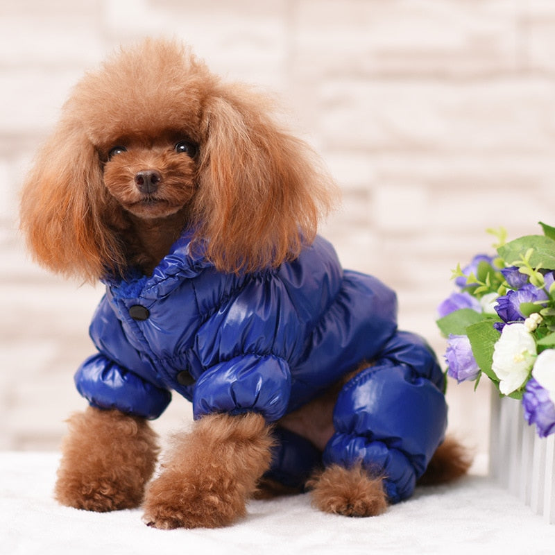 Waterproof Pet Jacket