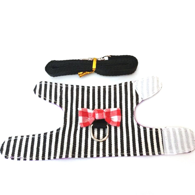 Small Animal Harness and Leash Set
