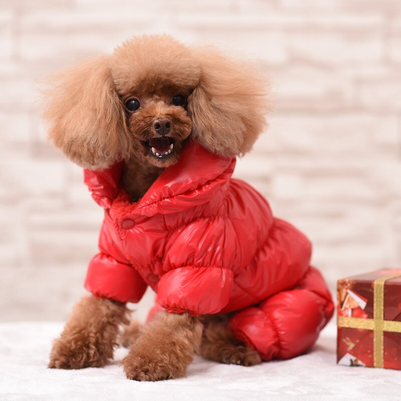 Waterproof Pet Jacket
