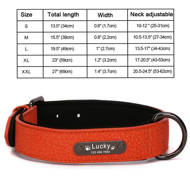 Personalized Leather Dog Collar and Leash