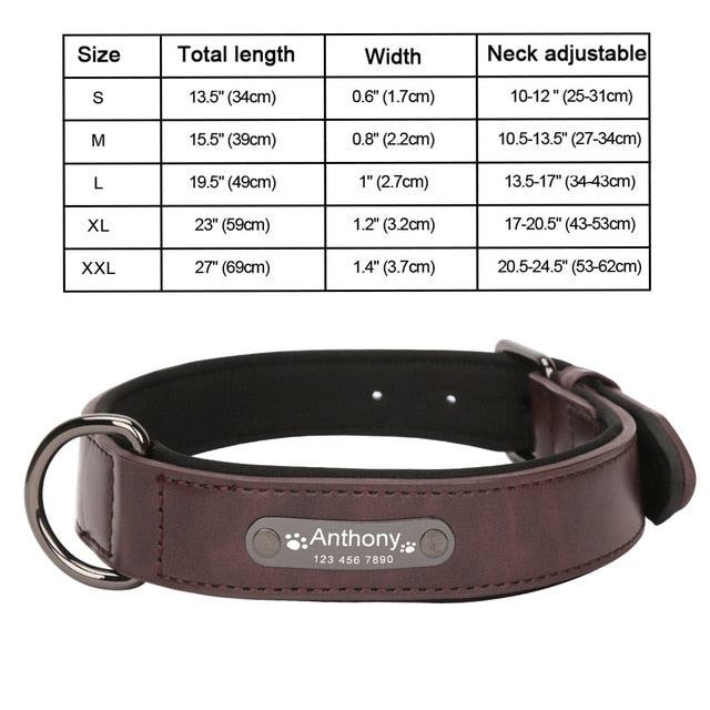 Personalized Leather Dog Collar and Leash