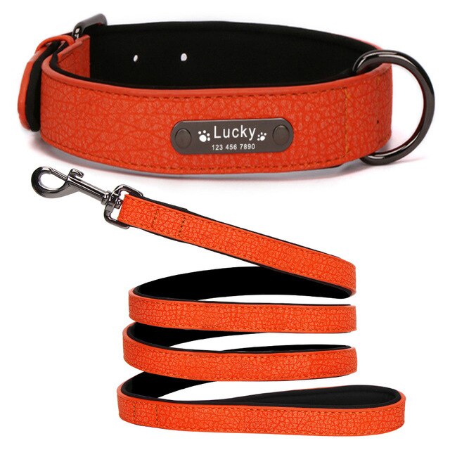 Personalized Leather Dog Collar and Leash