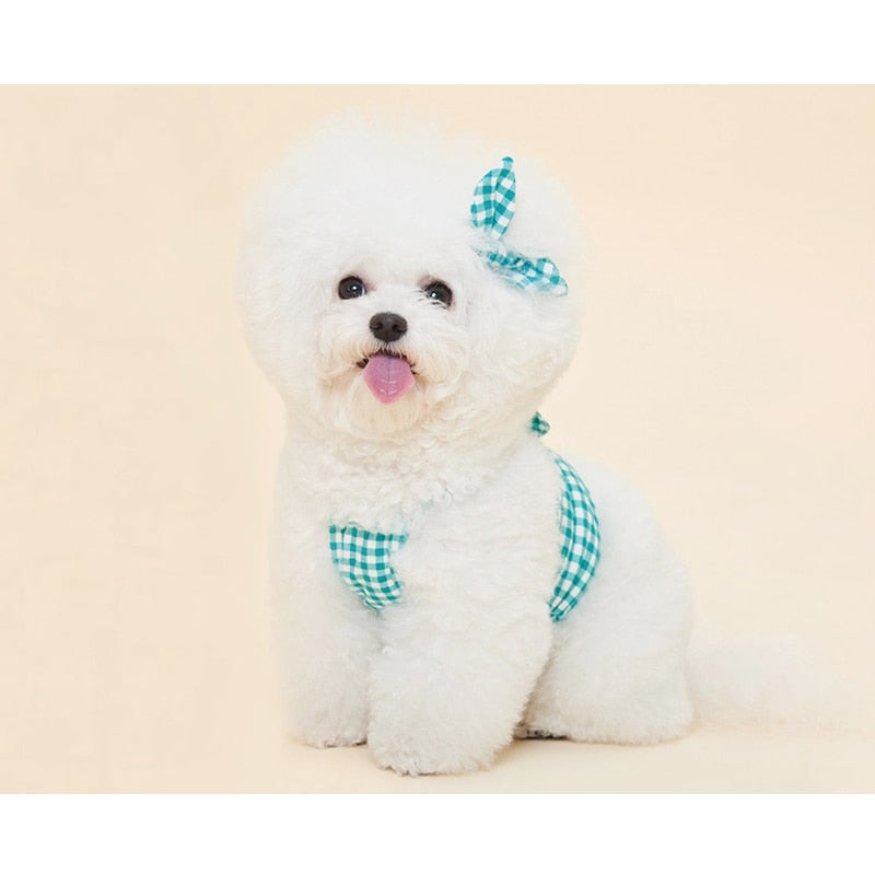 Adorable Summer Pet Clothes