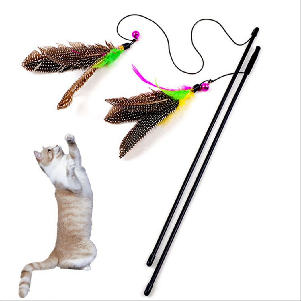 Feather Wand Toy