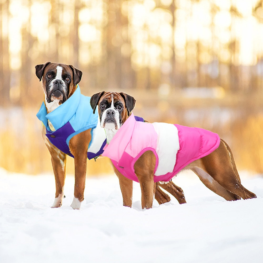 Warm Winter Dog Coat