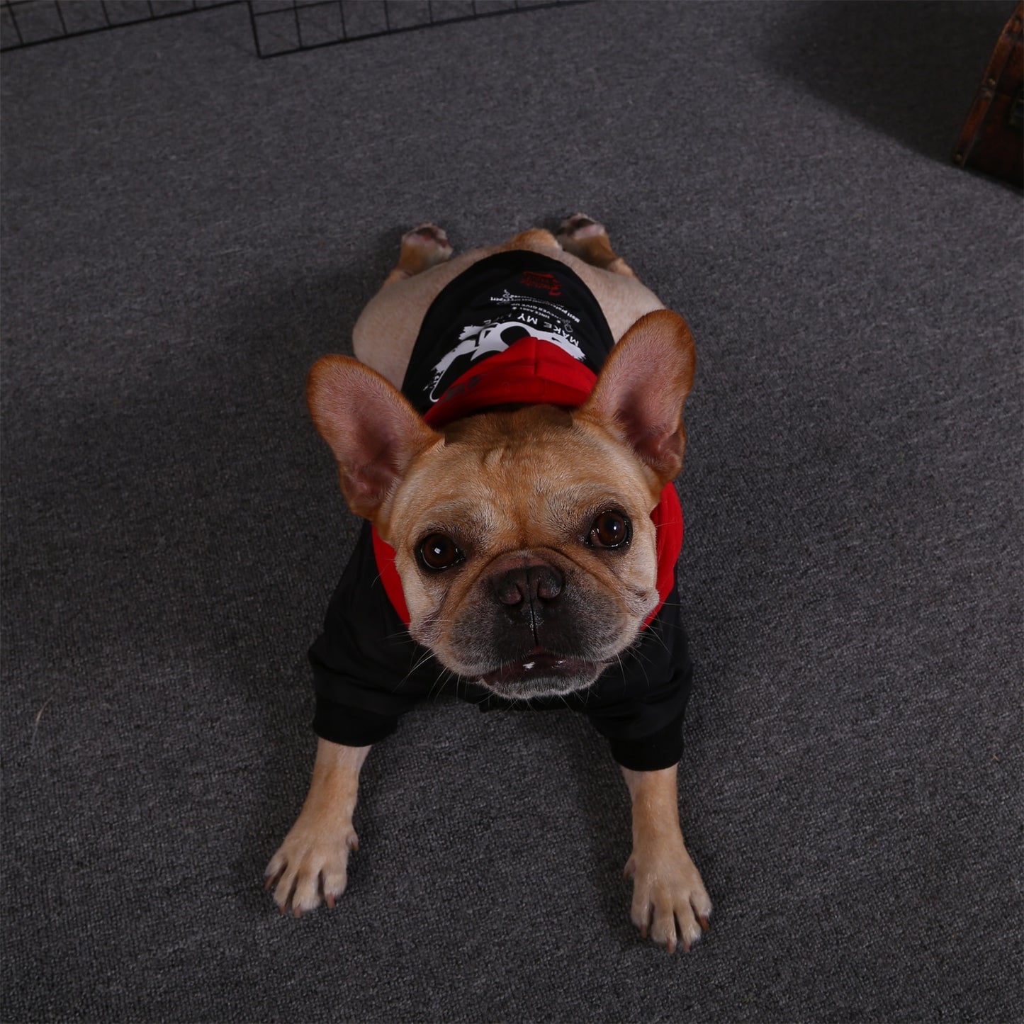 Warm Winter Hoodie For Dogs