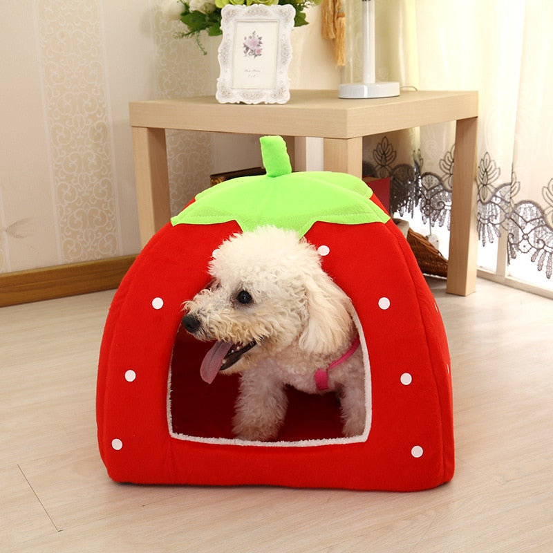 Cute Small Animal House