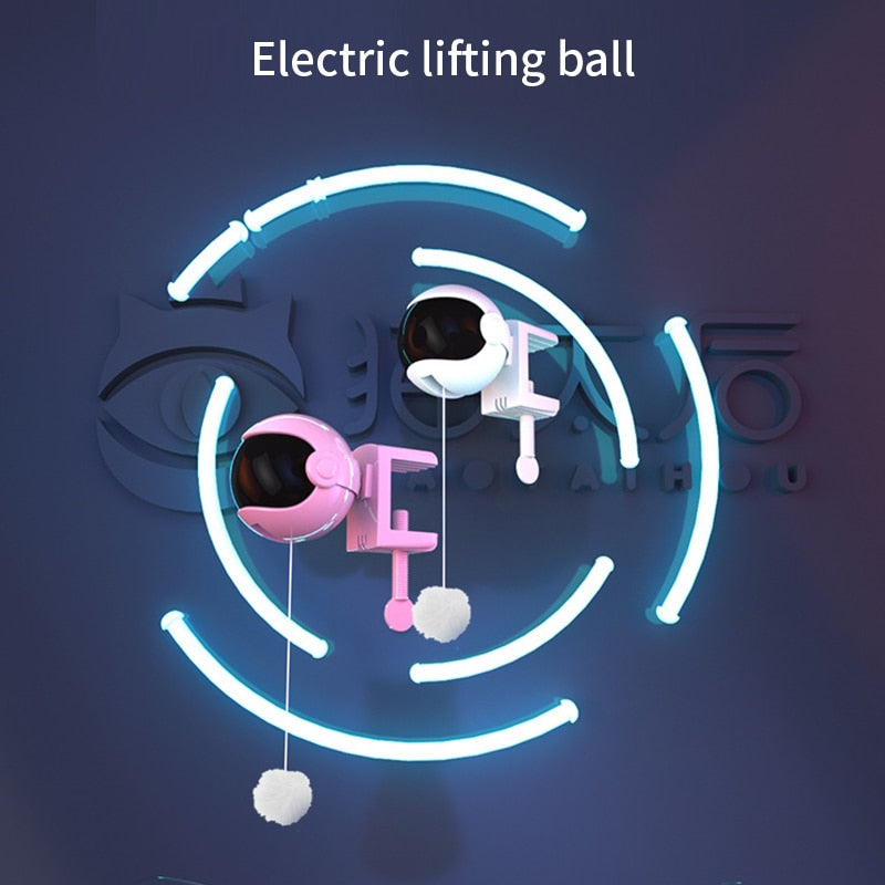 Interactive Cat Toy