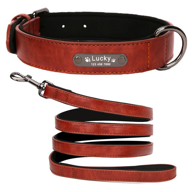Personalized Leather Dog Collar and Leash