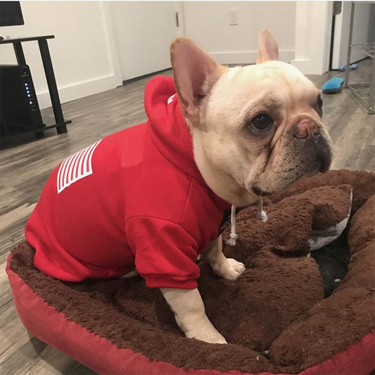 Flag Style Pet Hoodie