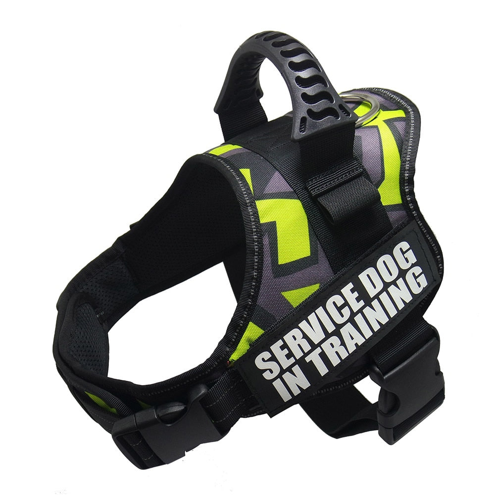 Reflective Dog Harness and Leash