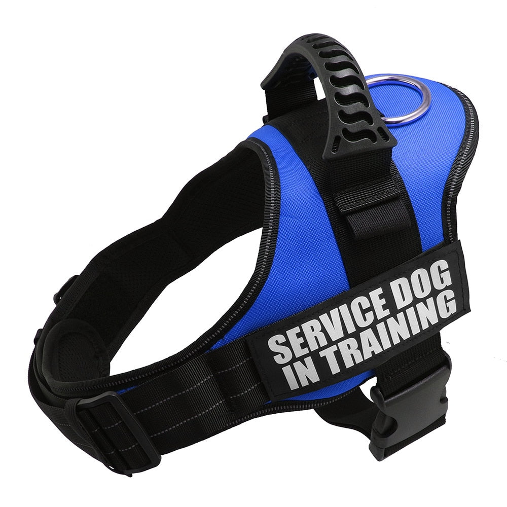 Reflective Dog Harness and Leash