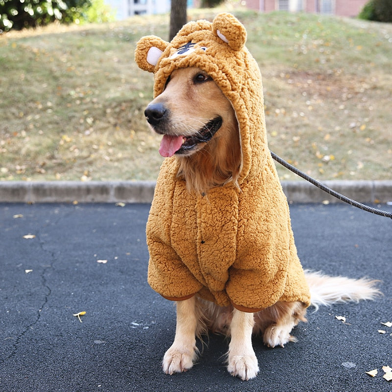 Teddy Bear Sweater