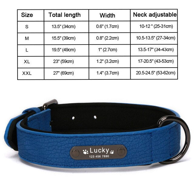 Personalized Leather Dog Collar and Leash