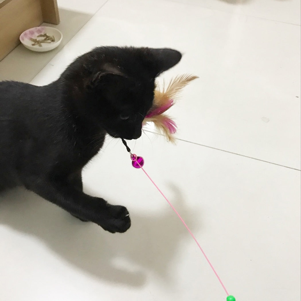 Feather Wand Toy