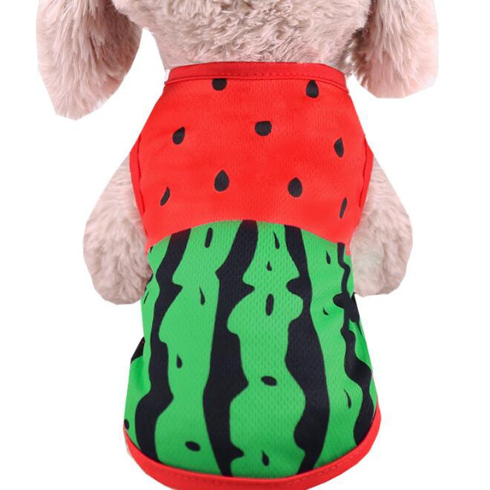Printed Dog Shirt