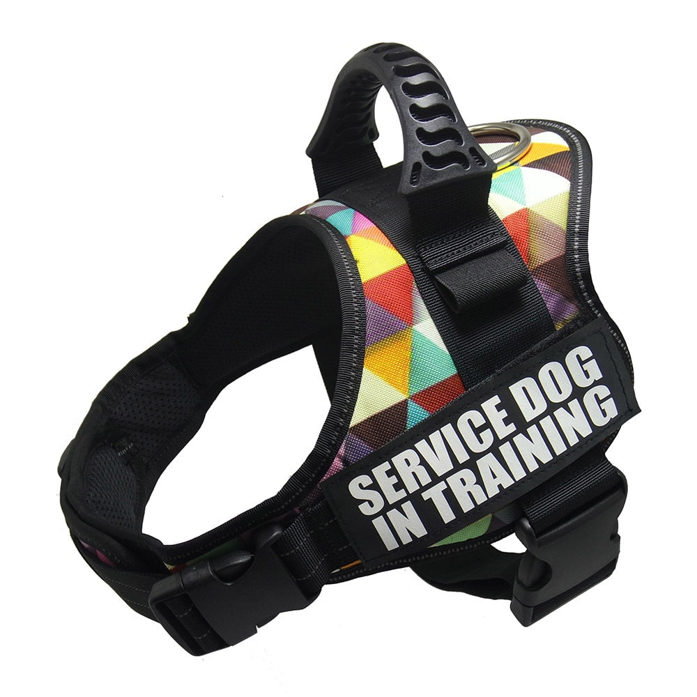 Reflective Dog Harness and Leash