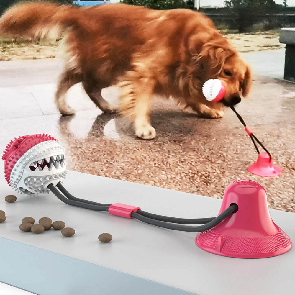 Silicone Suction Cup Tug Interactive Dog Ball
