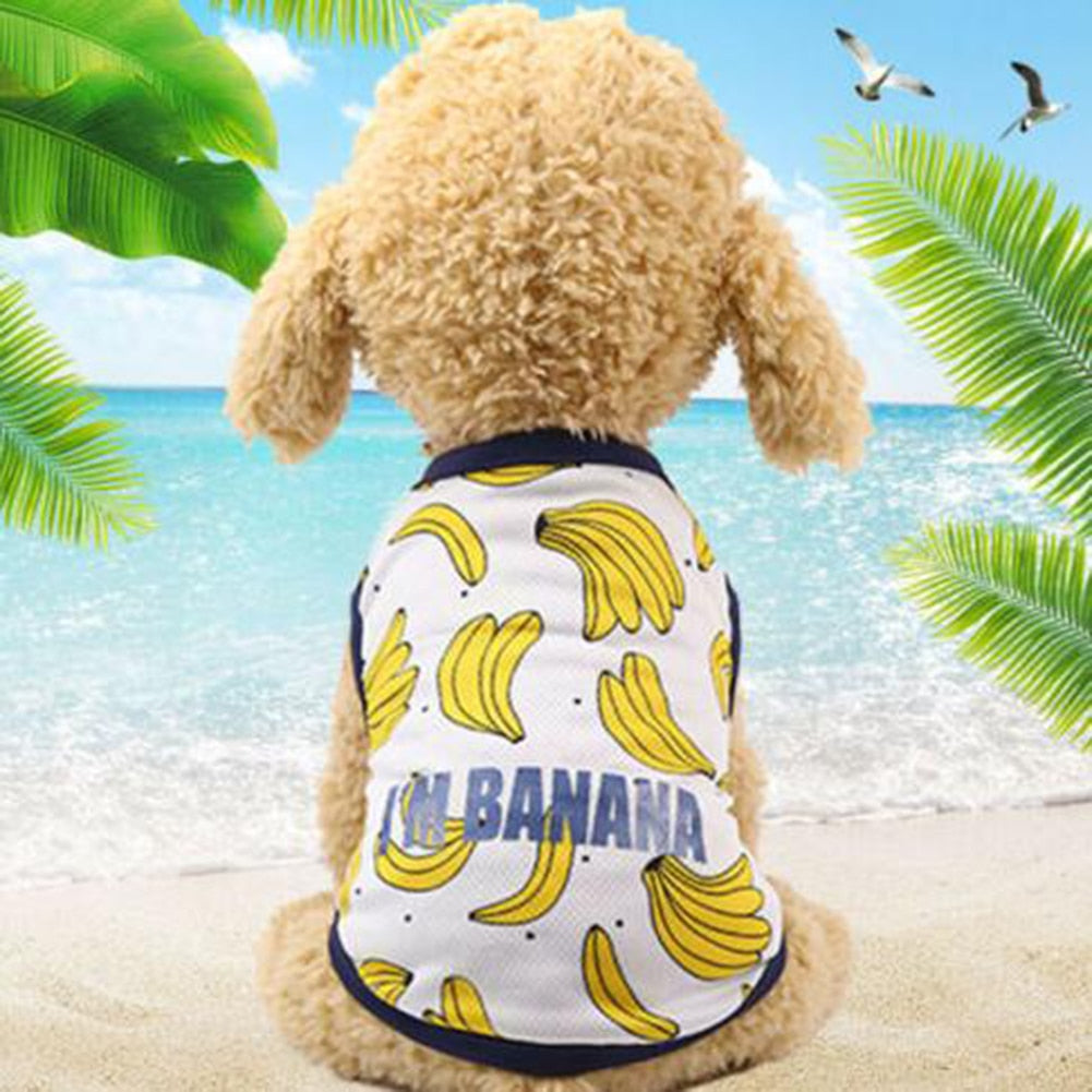 Printed Dog Shirt