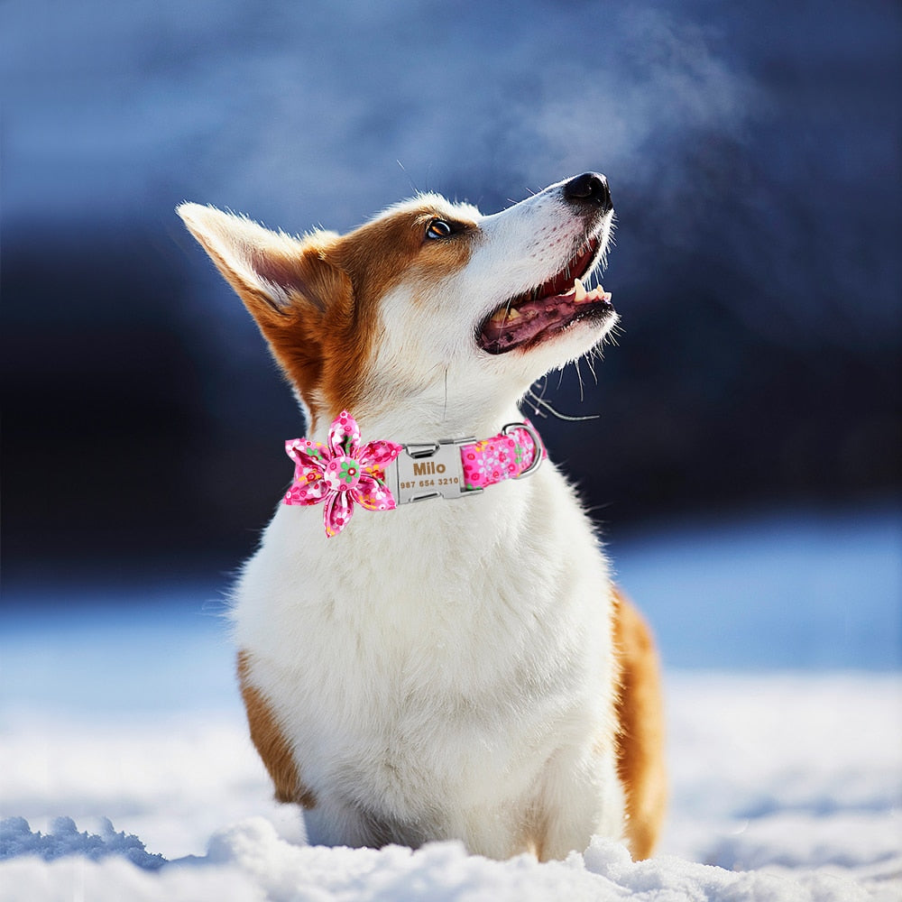 Personalized Pet Collar With Flower and Metal Buckle
