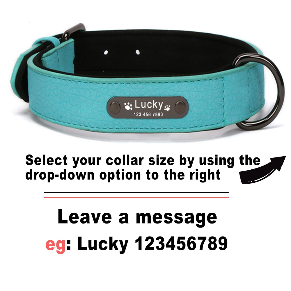 Personalized Leather Dog Collar and Leash