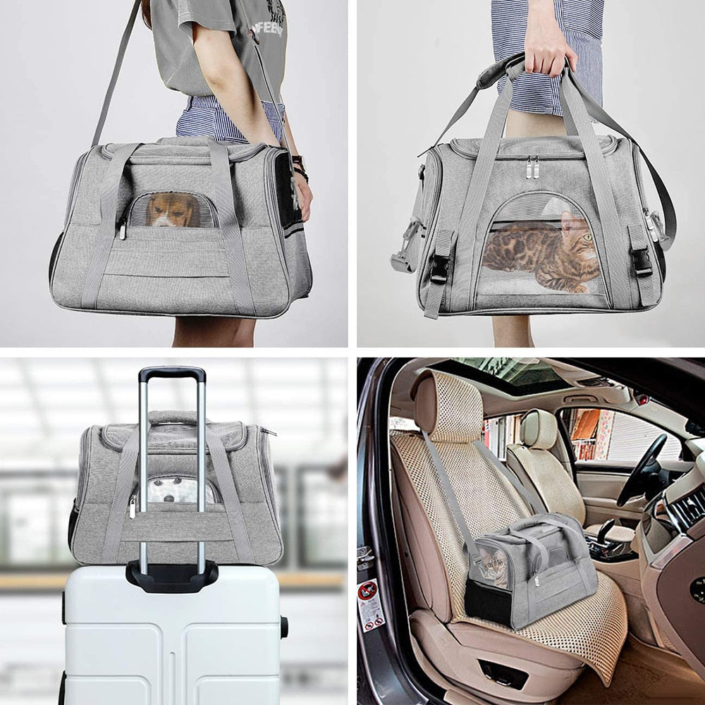 Dog Carrier With Mesh Window