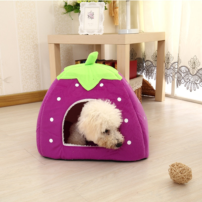 Cute Small Animal House