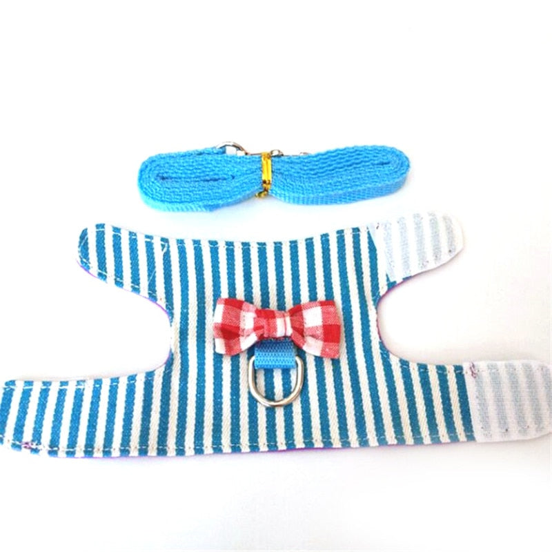 Small Animal Harness and Leash Set