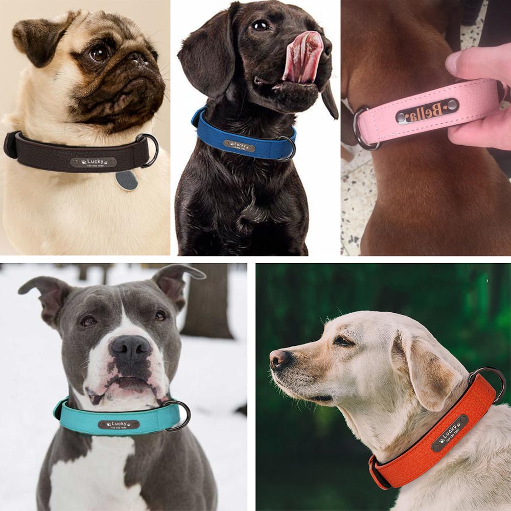 Personalized Leather Dog Collar and Leash