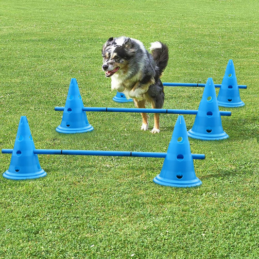 Training/Outdoor Pet Agility Equipment