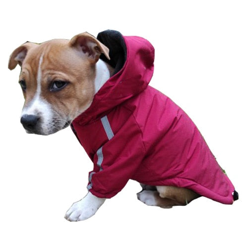 Pet Dog Coat - The Dog Face