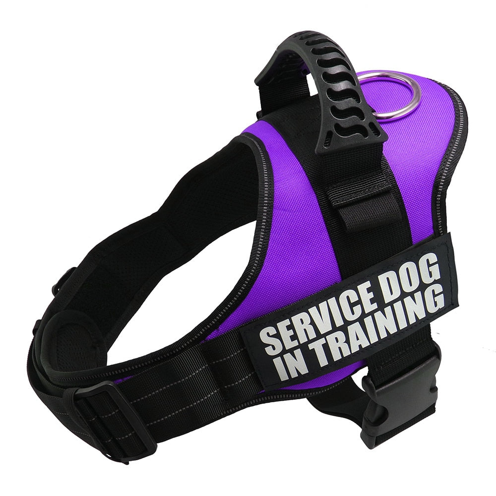 Reflective Dog Harness and Leash