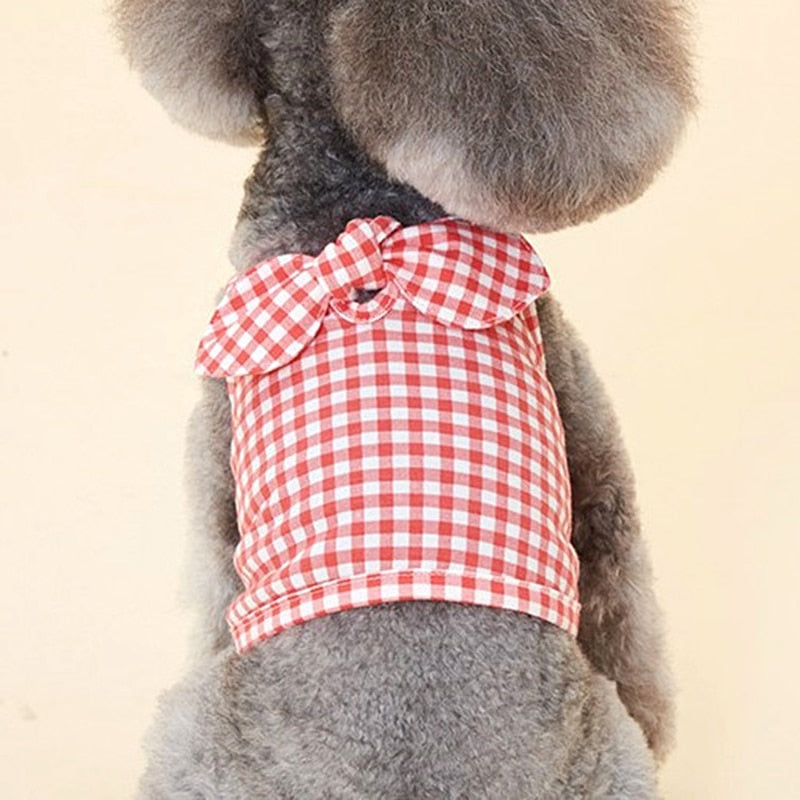 Adorable Summer Pet Clothes